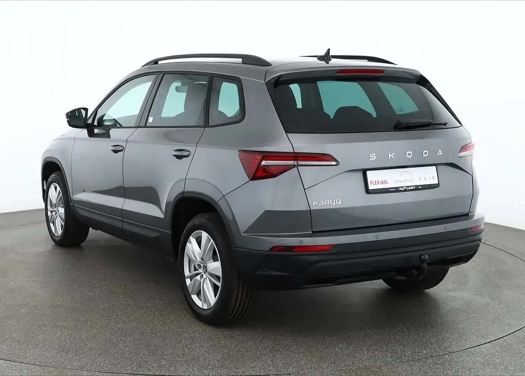 Skoda Karoq - Thumbnail 2