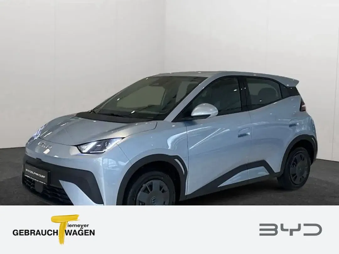 BYD Dolphin Surf Active