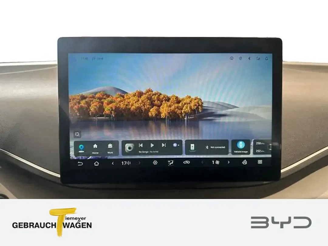 BYD Dolphin Surf - Thumbnail 13