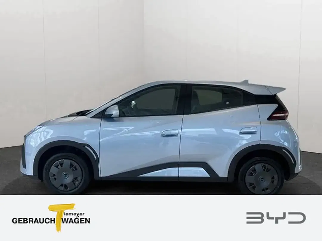 BYD Dolphin Surf - Thumbnail 7