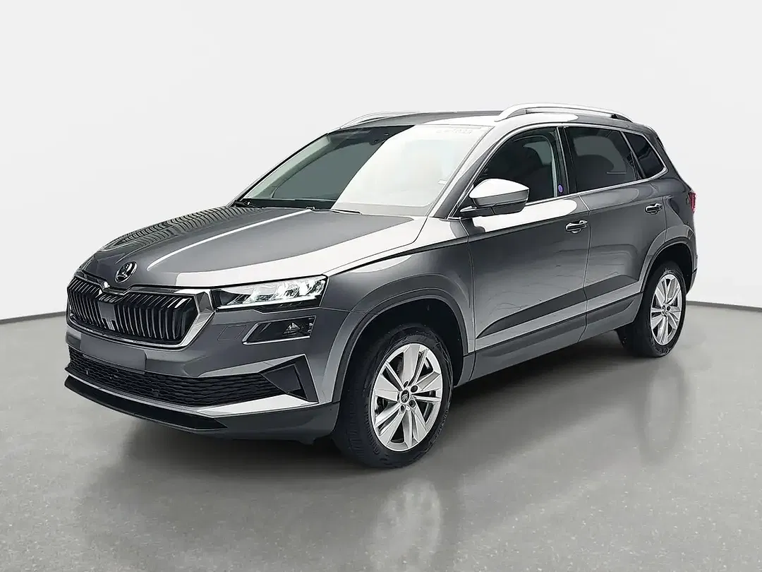 Skoda Karoq - Thumbnail 1