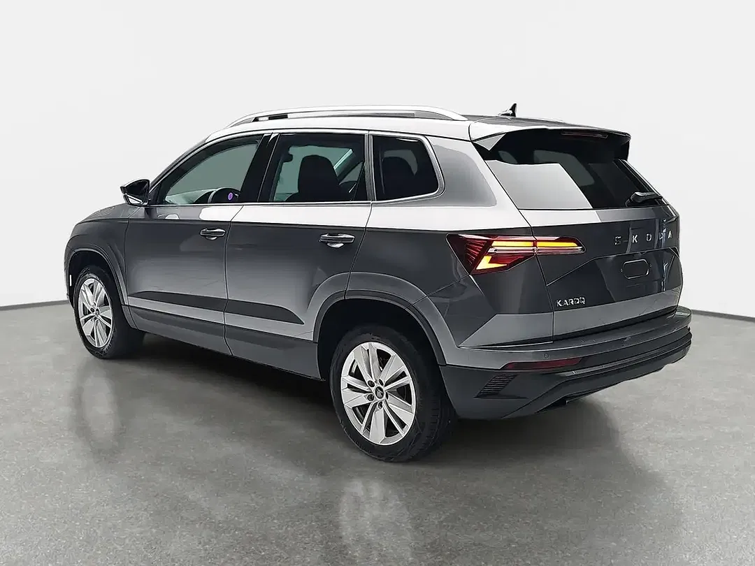 Skoda Karoq - Thumbnail 4