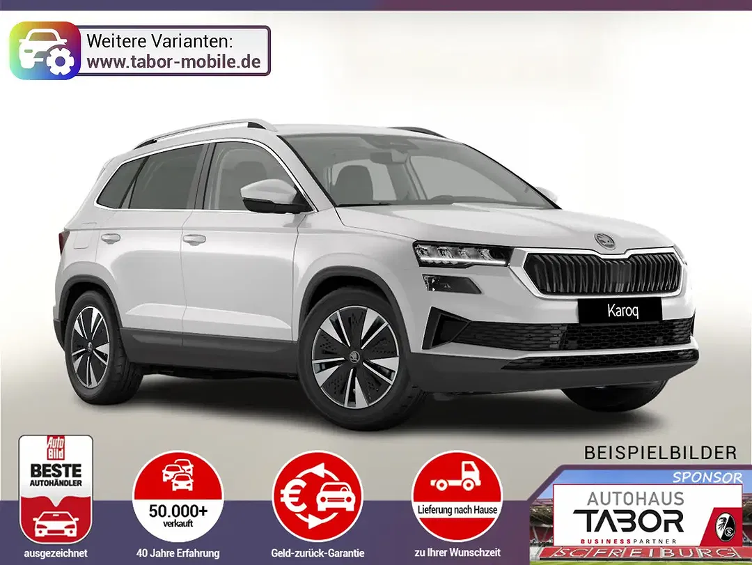 Skoda Karoq - Thumbnail 1