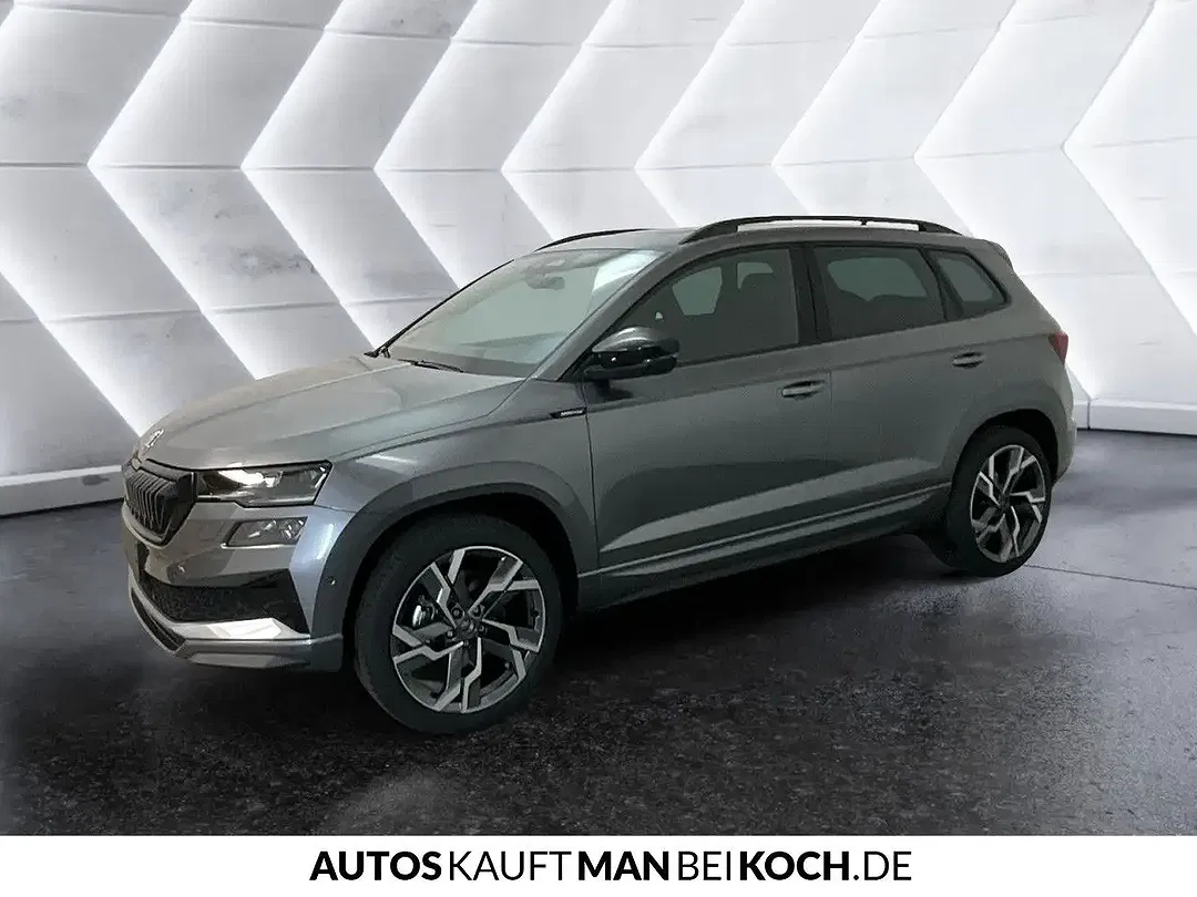 Skoda Karoq - Thumbnail 1