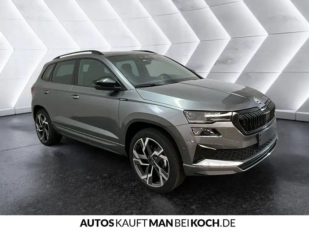 Skoda Karoq - Thumbnail 4