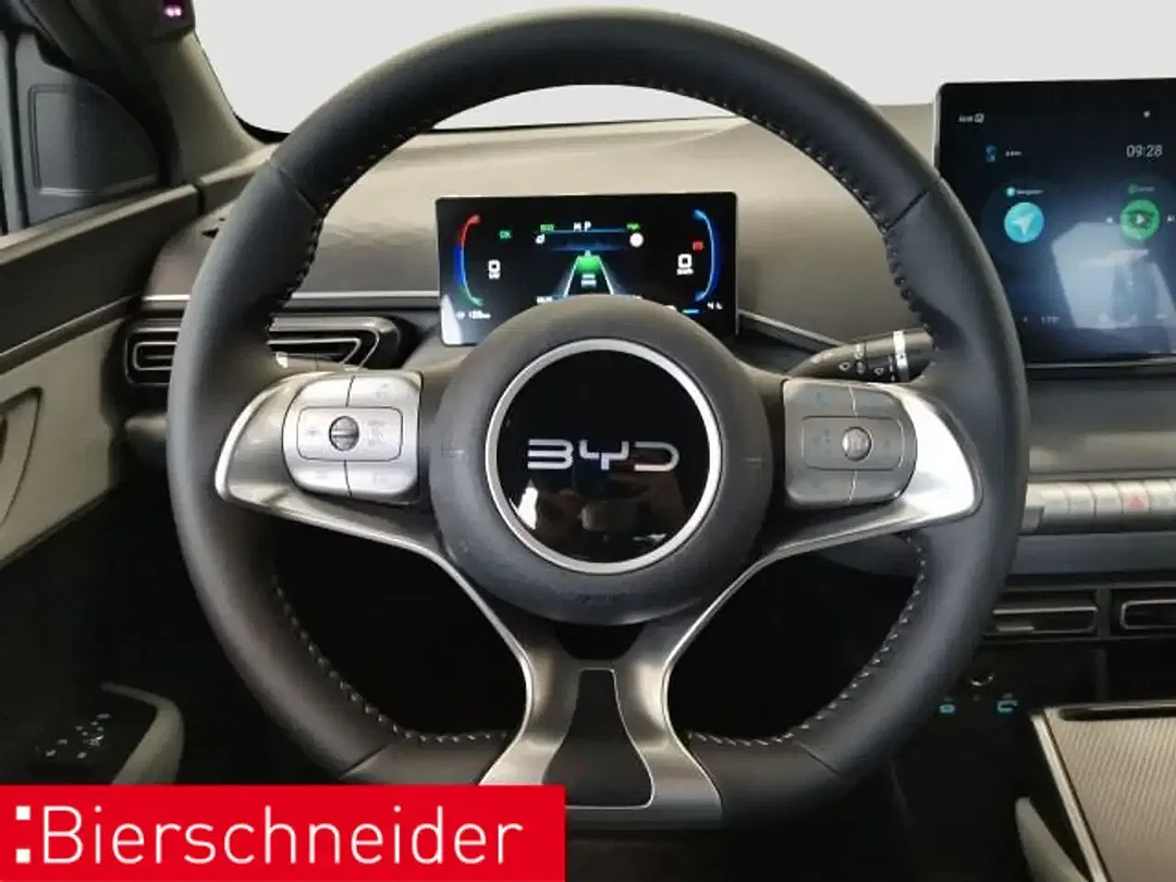BYD Dolphin Surf - Thumbnail 11