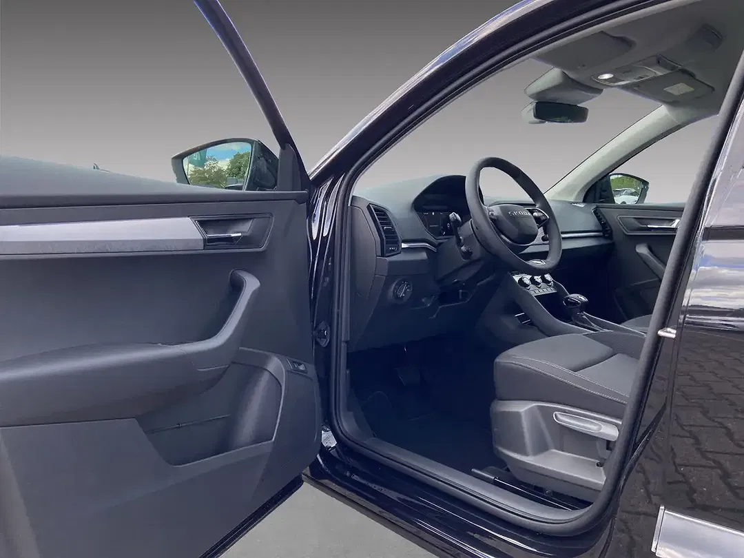 Skoda Karoq - Thumbnail 6
