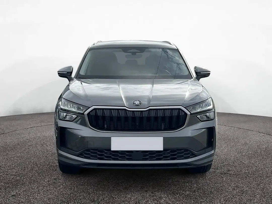 Skoda Kodiaq - Thumbnail 1