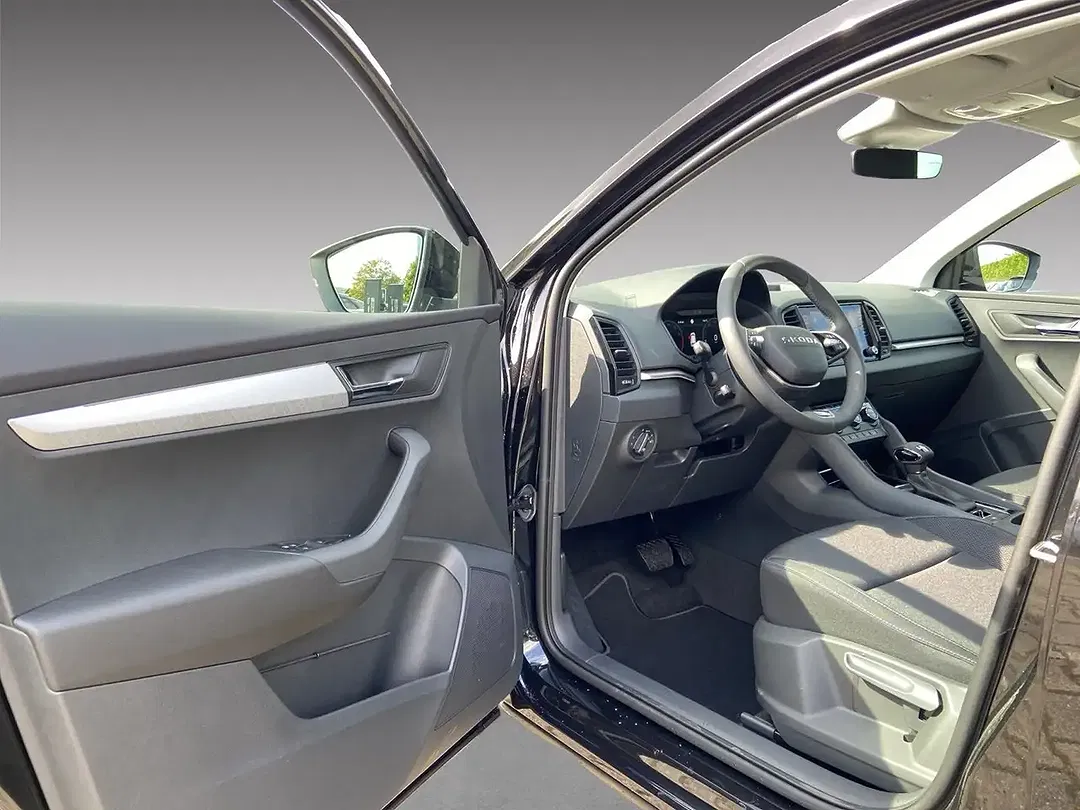 Skoda Karoq - Thumbnail 6