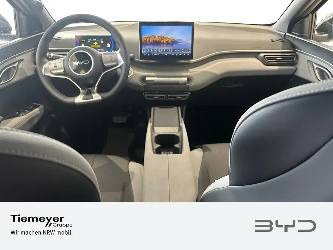 BYD Dolphin Surf - Thumbnail 12