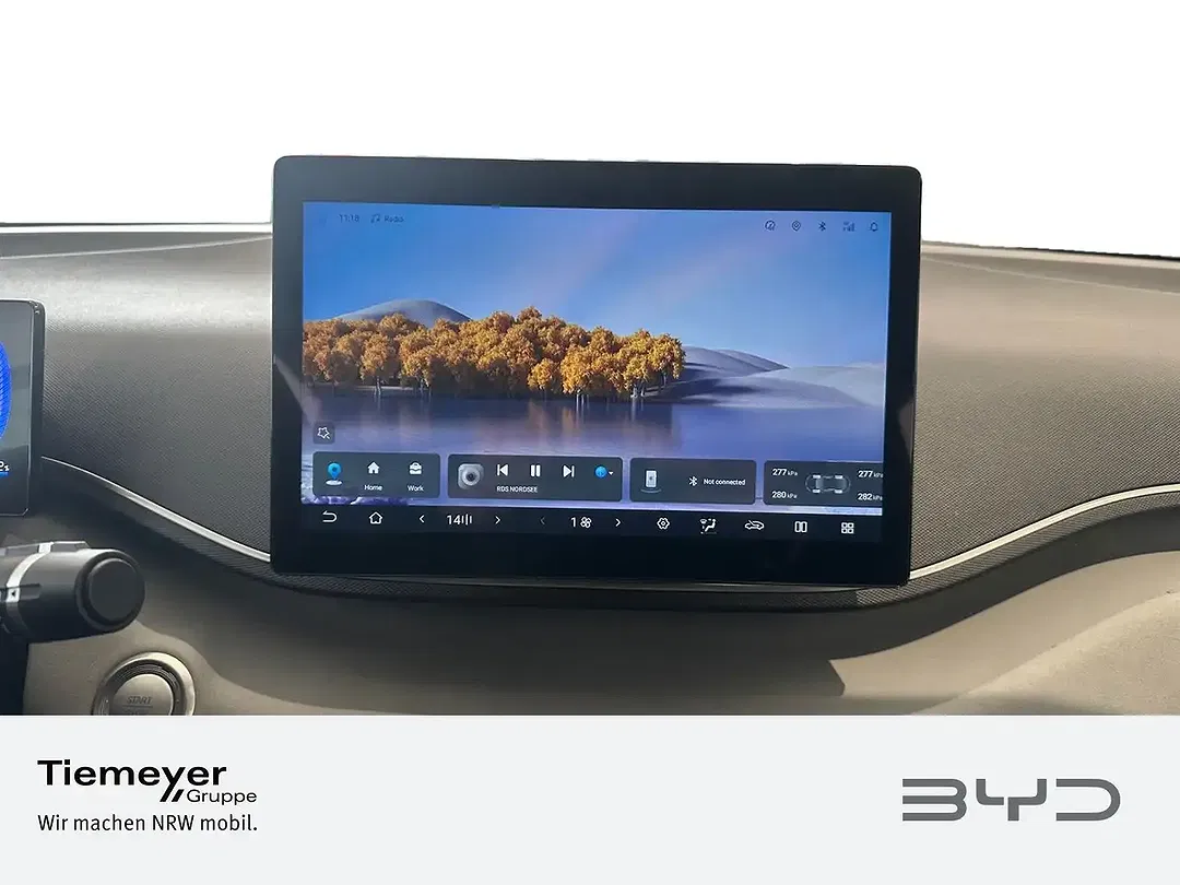 BYD Dolphin Surf - Thumbnail 14