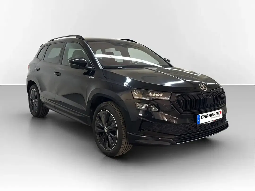 Skoda Karoq - Thumbnail 3