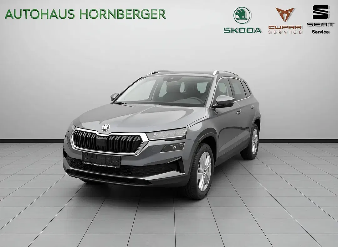 Skoda Karoq - Thumbnail 1