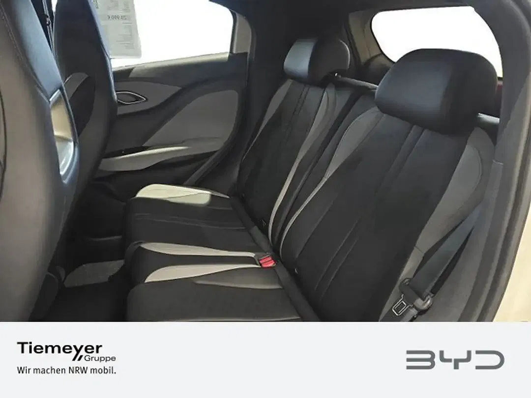 BYD Dolphin Surf - Thumbnail 10