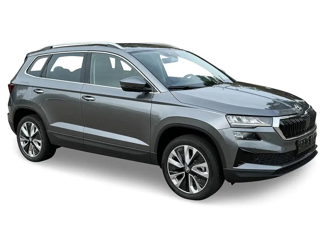 Skoda Karoq - Thumbnail 6