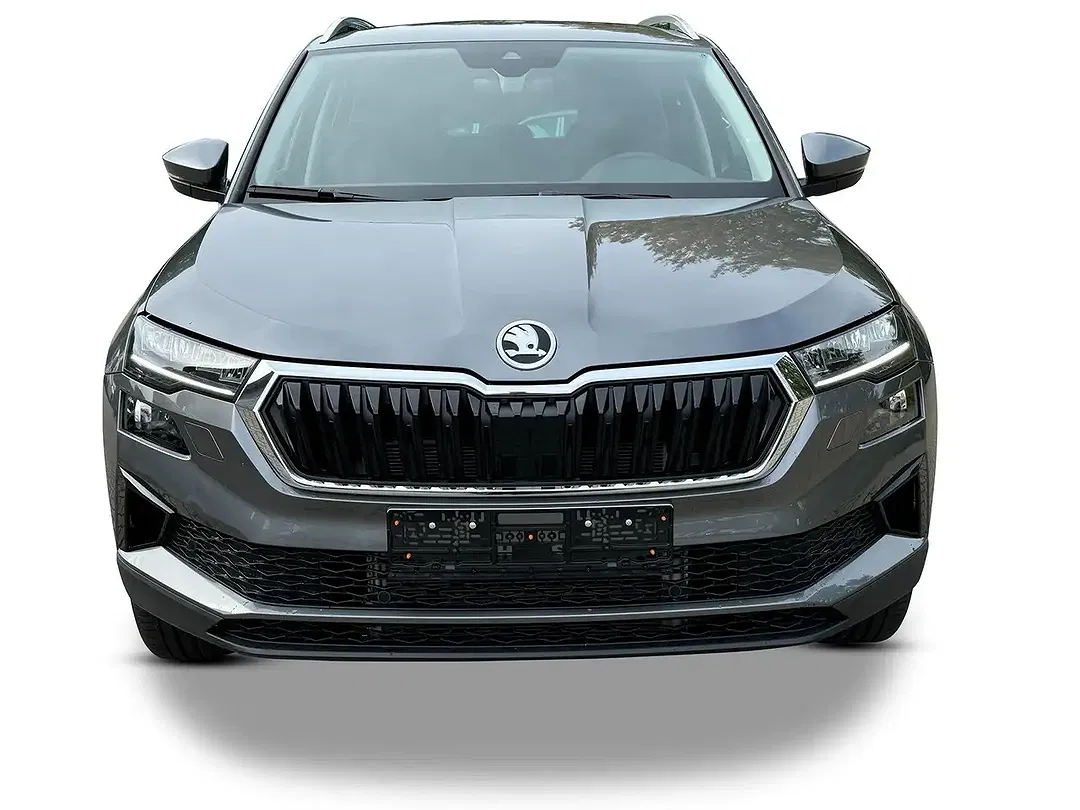 Skoda Karoq - Thumbnail 7