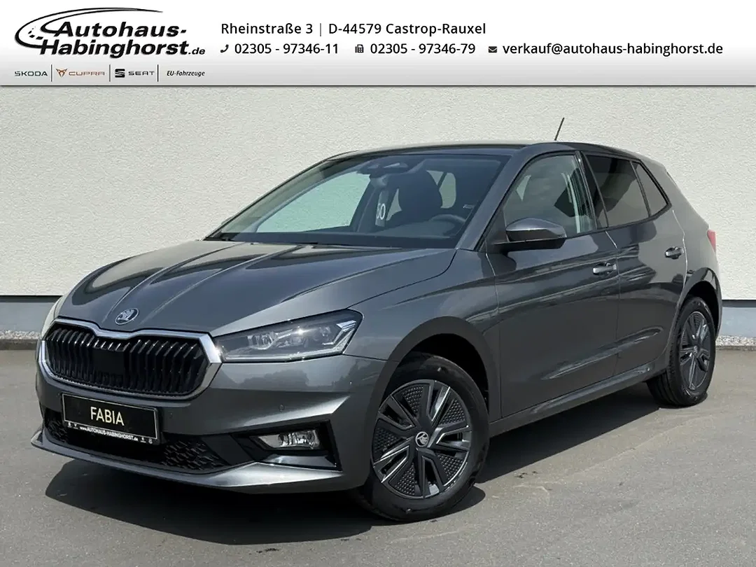 Skoda Fabia - Afbeelding 1