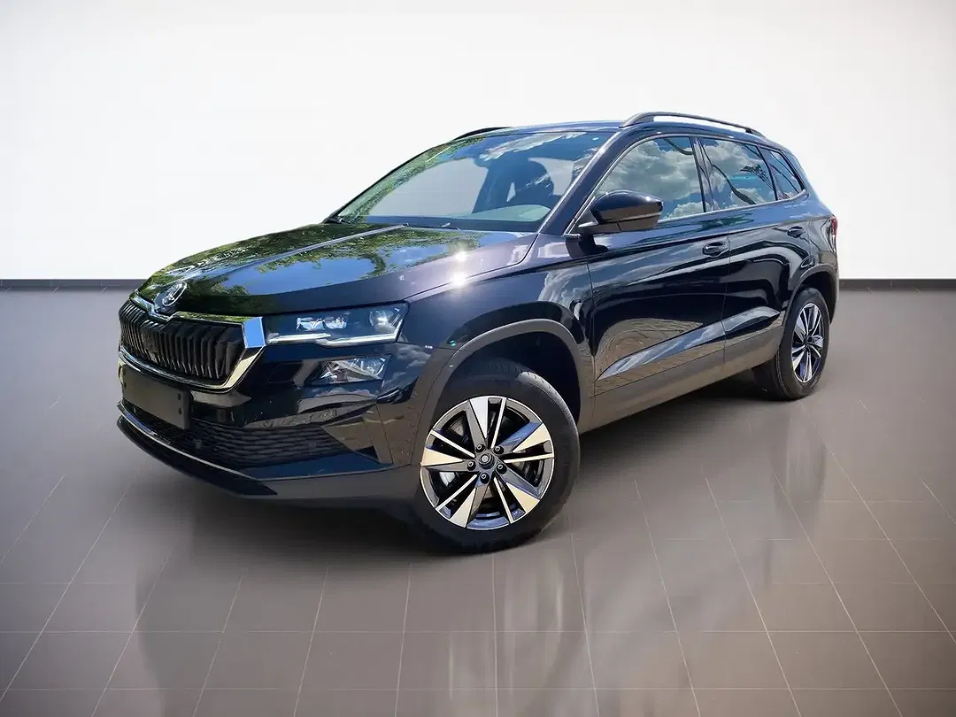 Skoda Karoq - Thumbnail 1