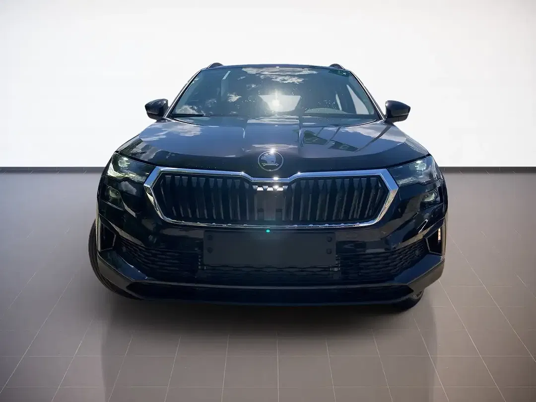 Skoda Karoq - Thumbnail 2