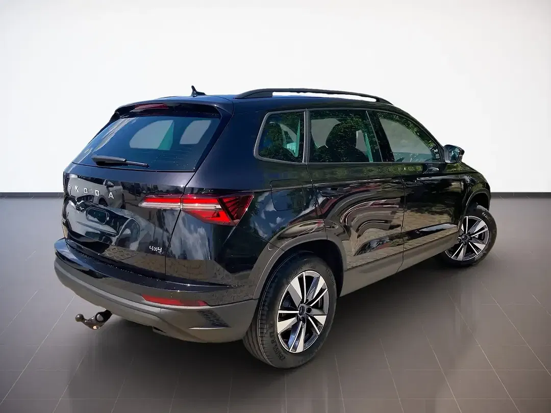 Skoda Karoq - Thumbnail 3