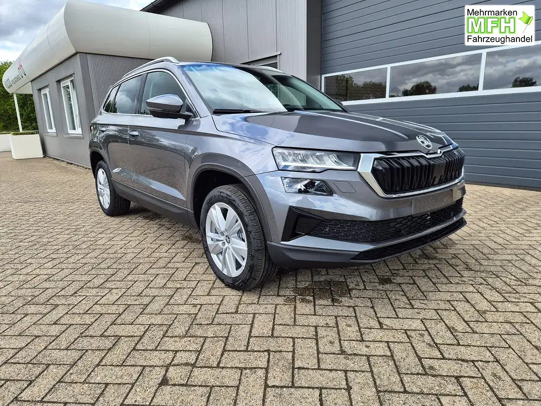 Skoda Karoq - Thumbnail 6