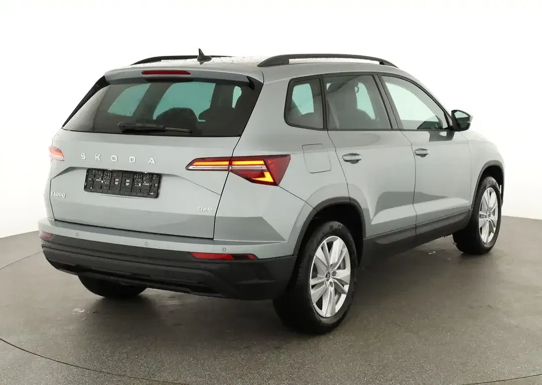 Skoda Karoq - Thumbnail 2