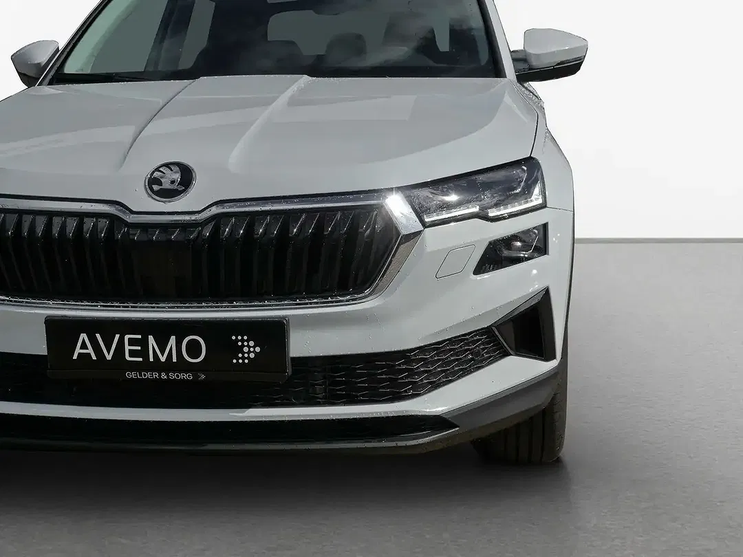 Skoda Karoq - Thumbnail 11