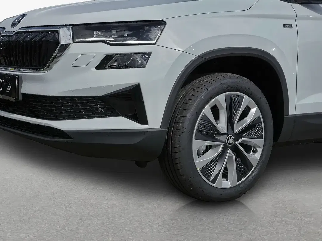 Skoda Karoq - Thumbnail 12