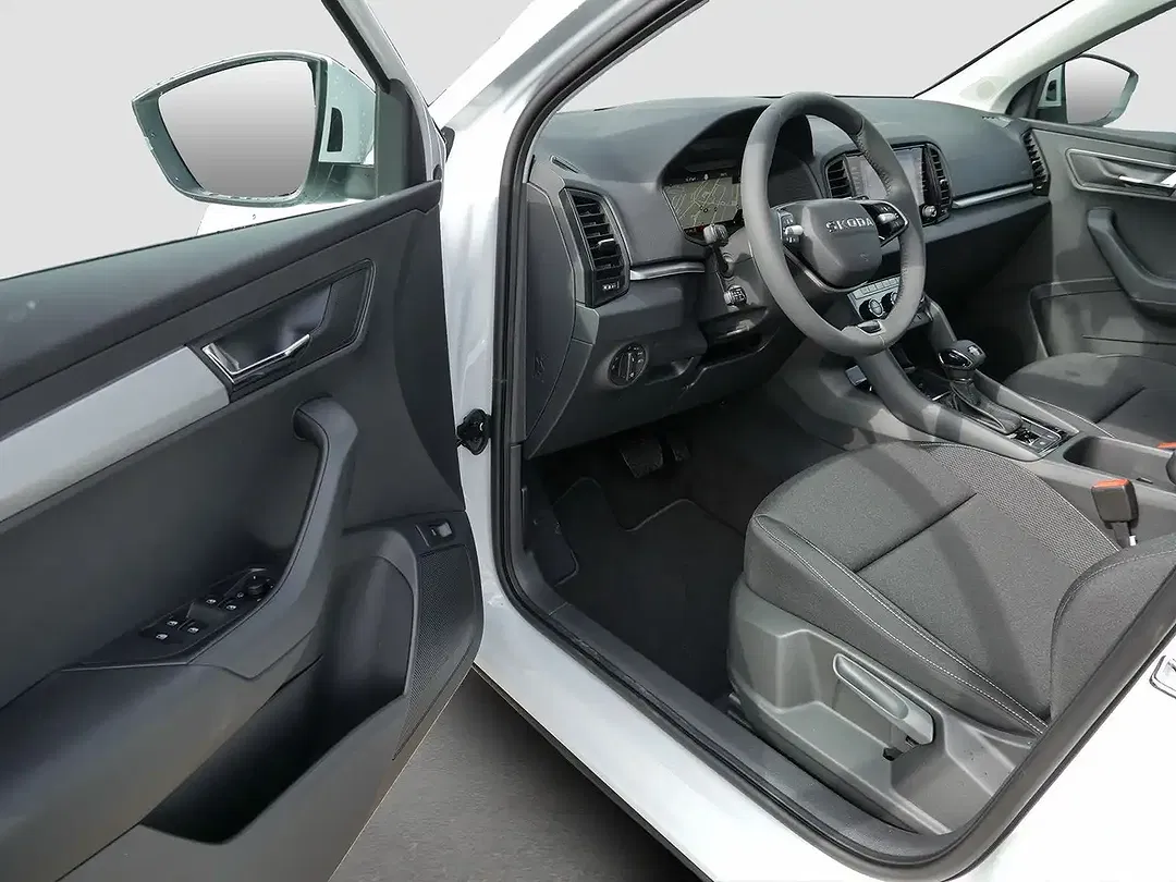 Skoda Karoq - Thumbnail 13