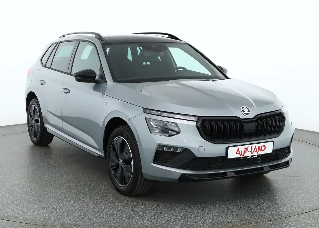 Skoda Kamiq - Thumbnail 6