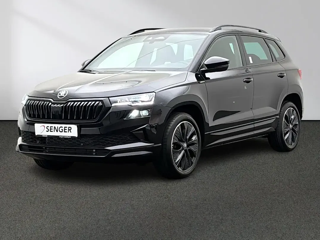 Skoda Karoq - Thumbnail 13