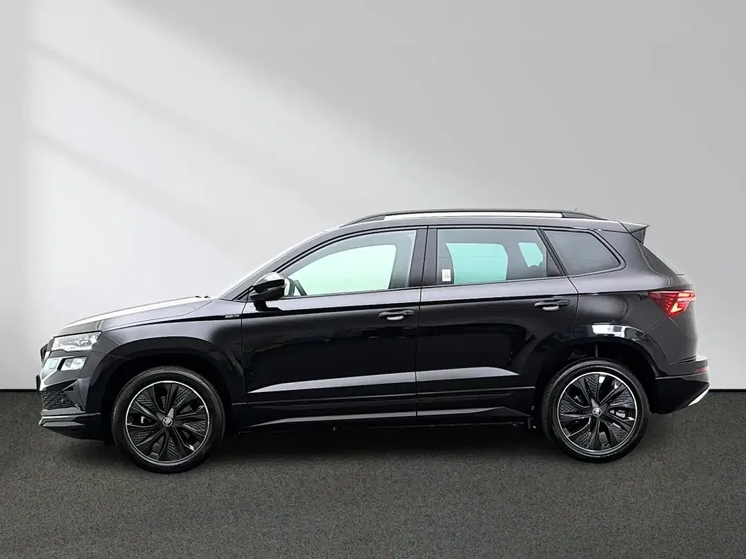 Skoda Karoq - Thumbnail 1