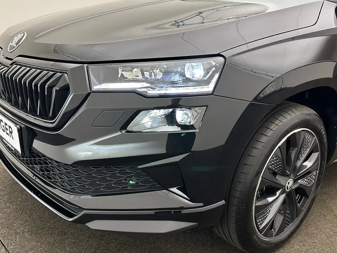 Skoda Karoq - Thumbnail 5