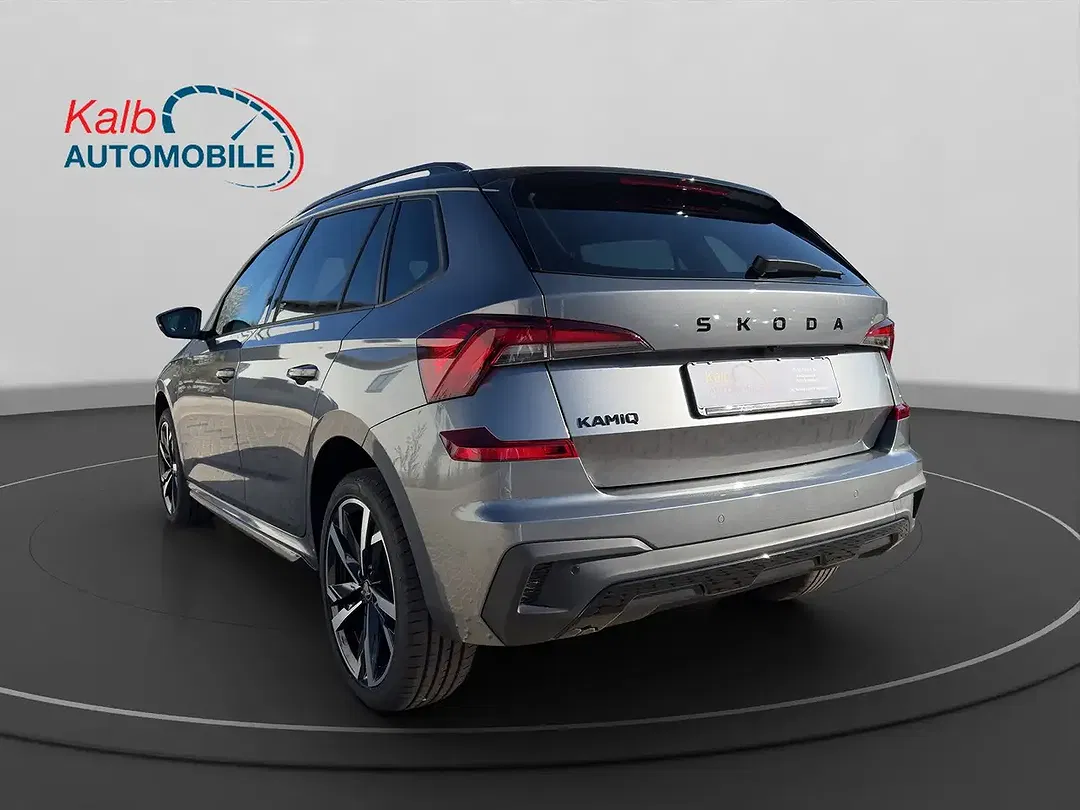 Skoda Kamiq - Thumbnail 3