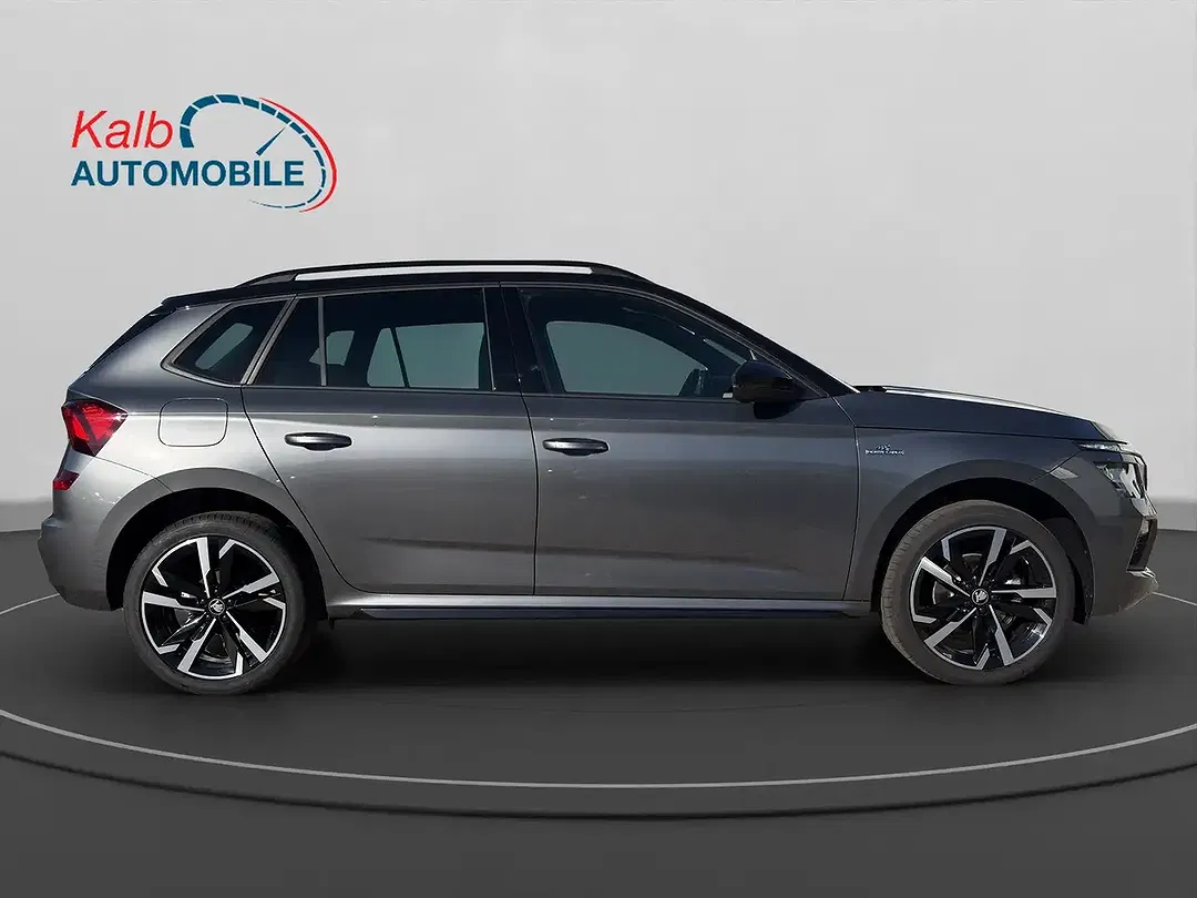 Skoda Kamiq - Thumbnail 6