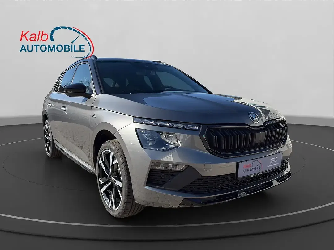 Skoda Kamiq - Thumbnail 7