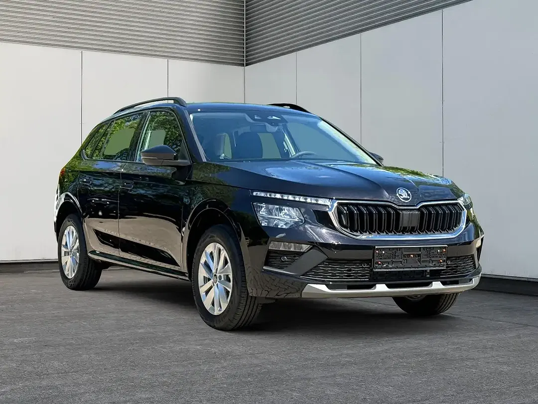 Skoda Kamiq - Thumbnail 31