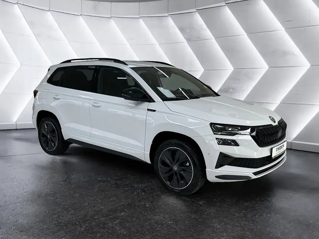 Skoda Karoq - Thumbnail 3