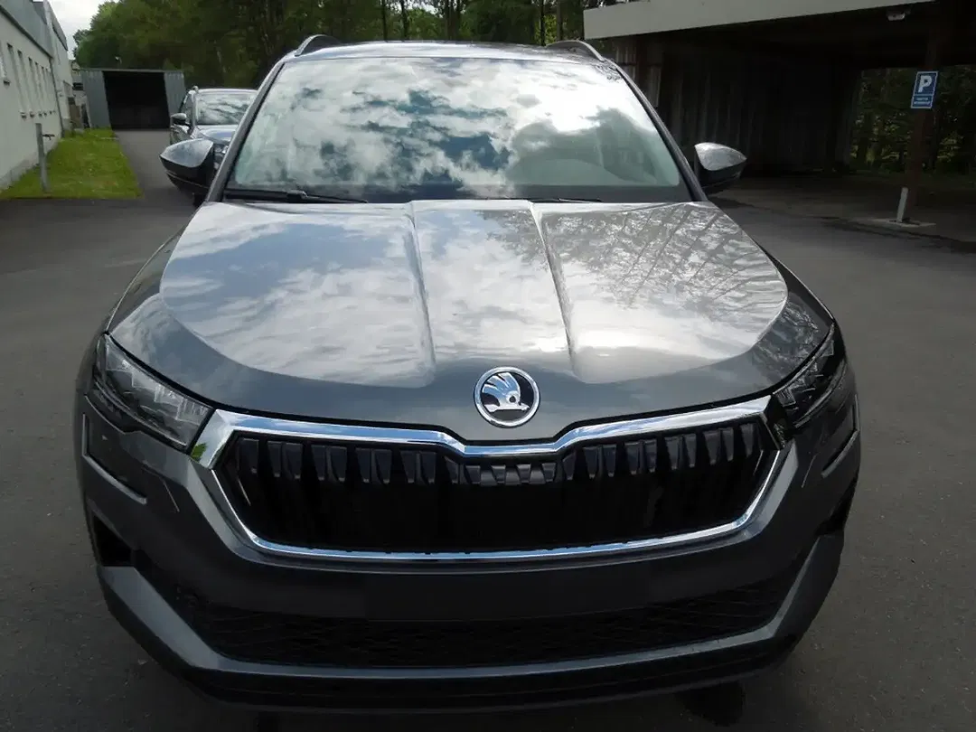 Skoda Karoq - Thumbnail 2