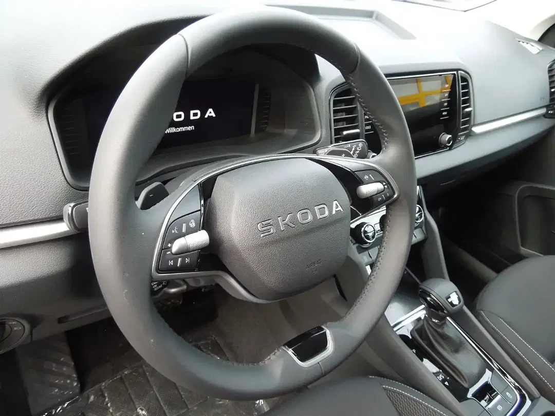 Skoda Karoq - Thumbnail 6