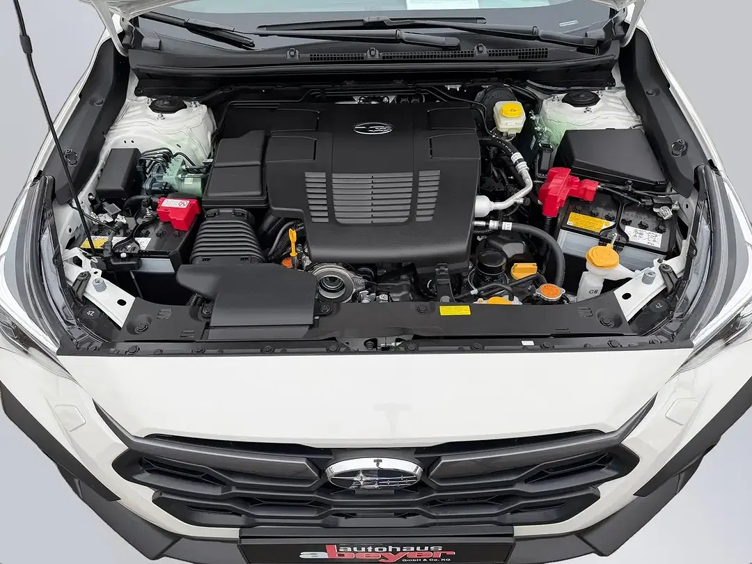 Subaru Crosstrek - Thumbnail 9