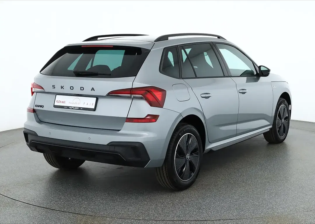 Skoda Kamiq - Thumbnail 4