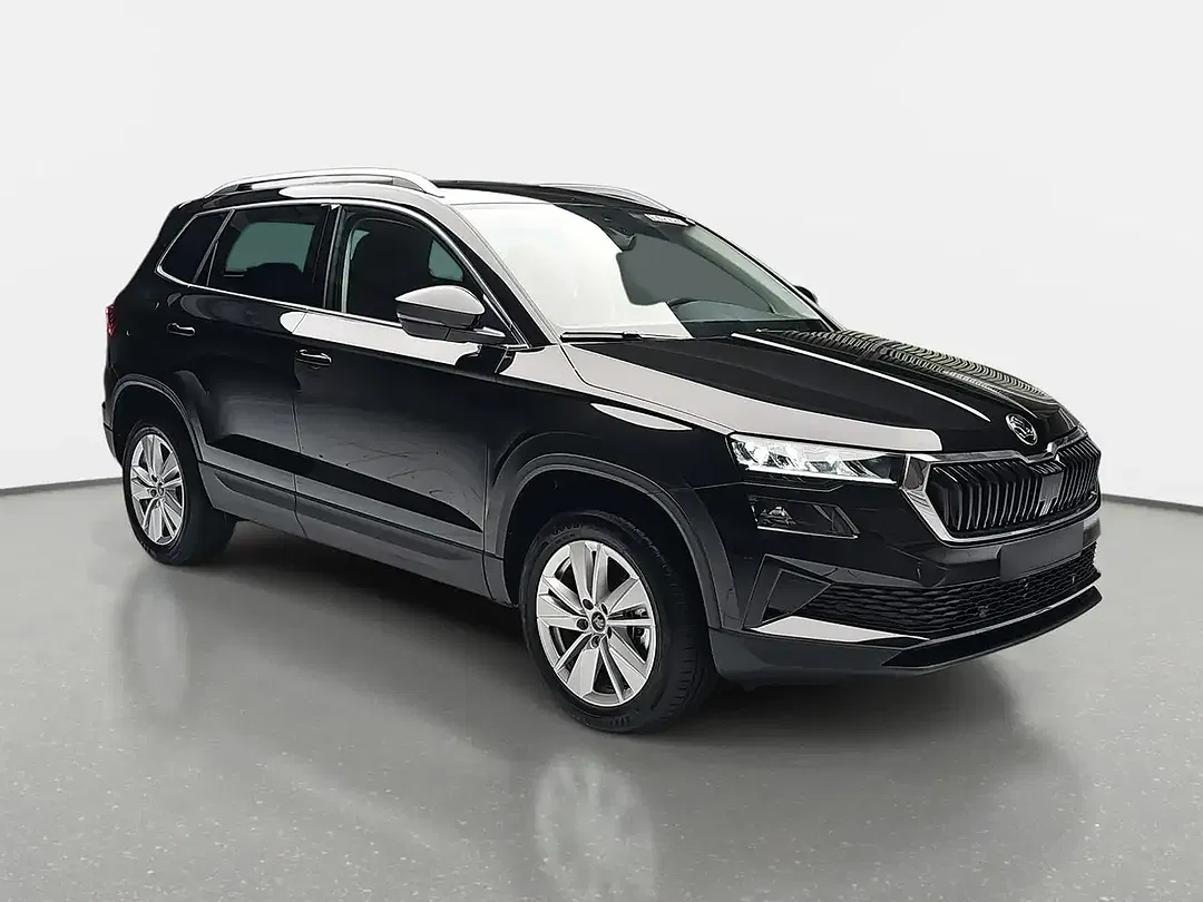 Skoda Karoq - Thumbnail 2
