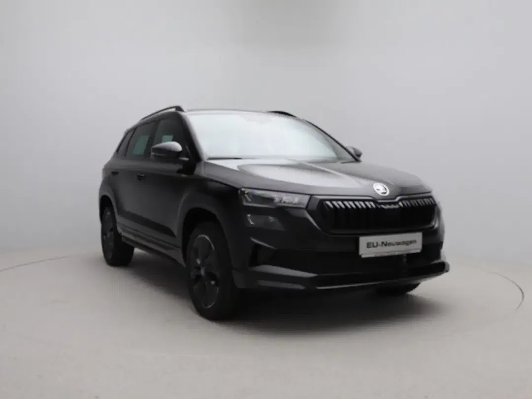 Skoda Karoq - Thumbnail 9