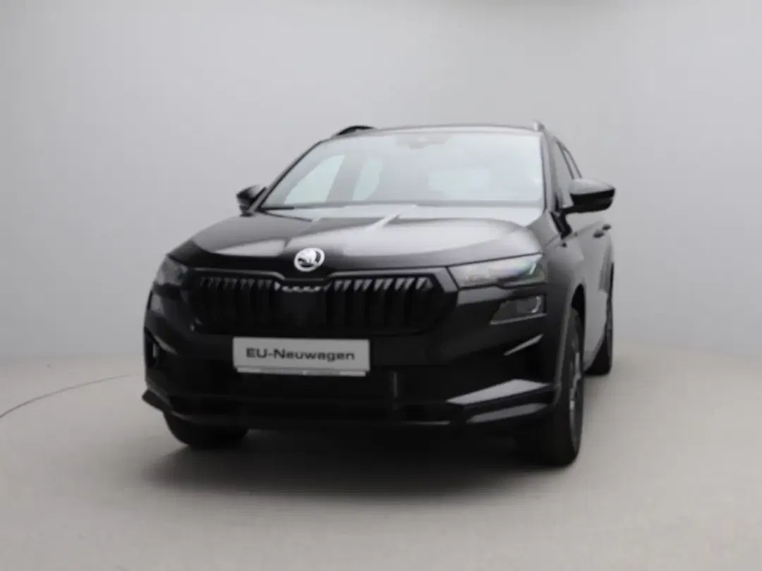 Skoda Karoq - Thumbnail 1