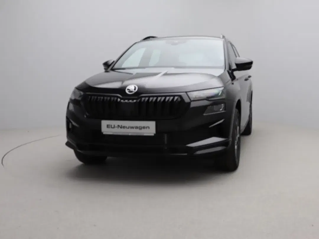 Skoda Karoq - Thumbnail 2