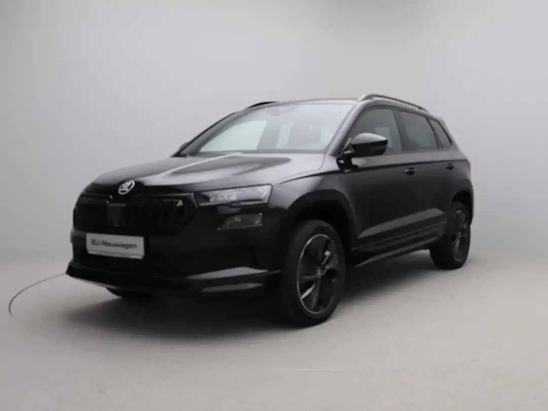 Skoda Karoq - Thumbnail 3