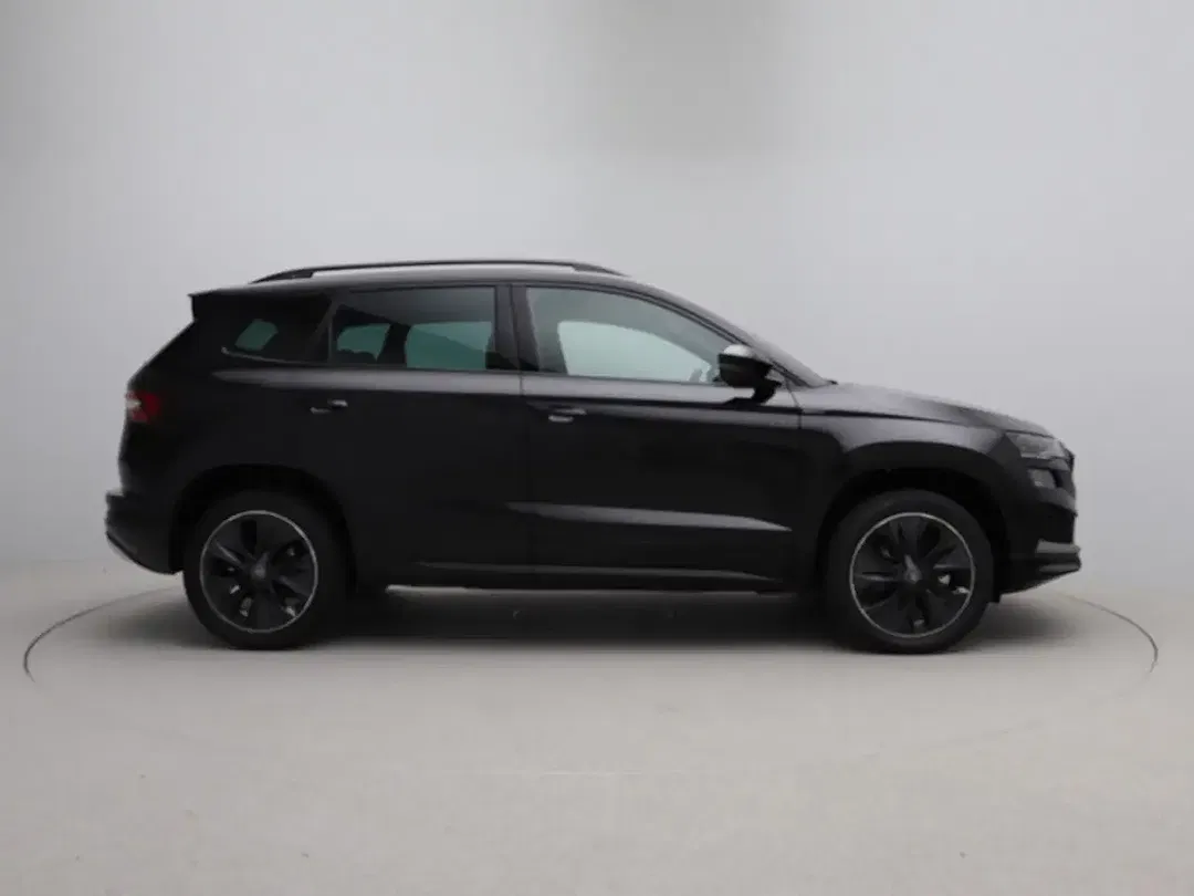 Skoda Karoq - Thumbnail 8
