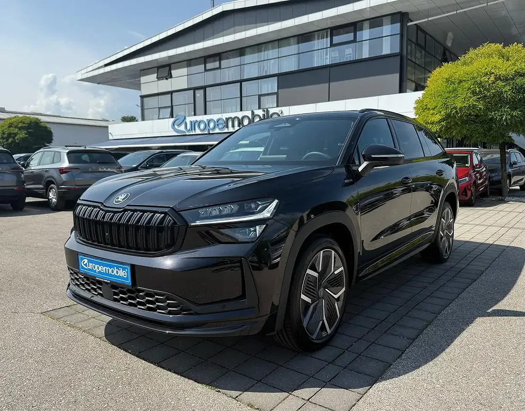 Skoda Kodiaq - Thumbnail 1