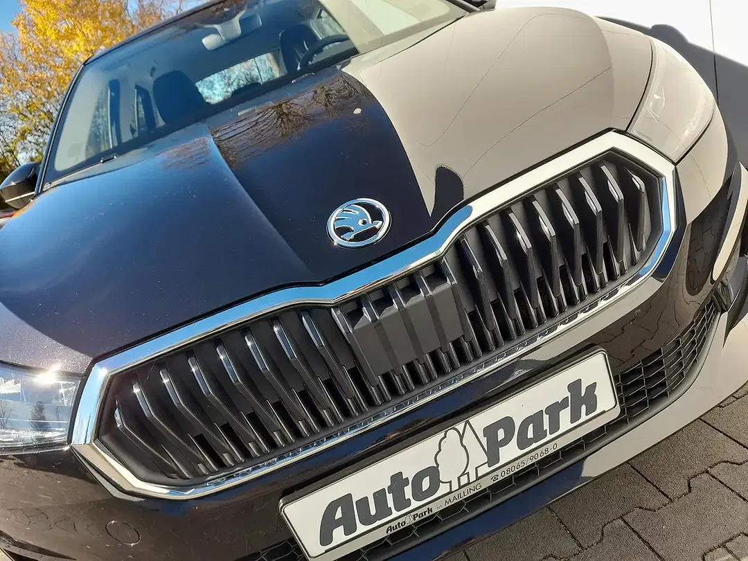 Skoda Fabia - Thumbnail 12